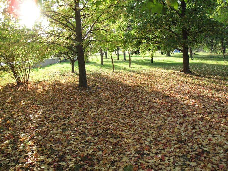 הוילה Paluds de Noves Le Jardin D'Erables St Remy 7 Ha Piscine/Clim מראה חיצוני תמונה