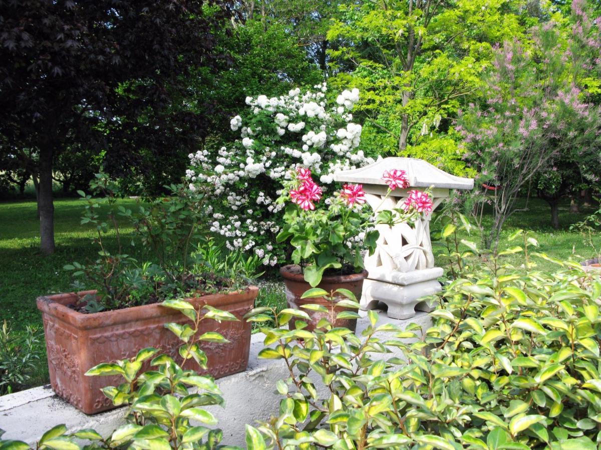 הוילה Paluds de Noves Le Jardin D'Erables St Remy 7 Ha Piscine/Clim מראה חיצוני תמונה